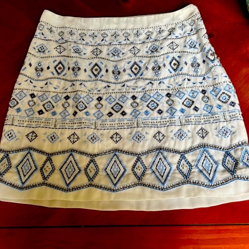 Adorable WHBM Skirt